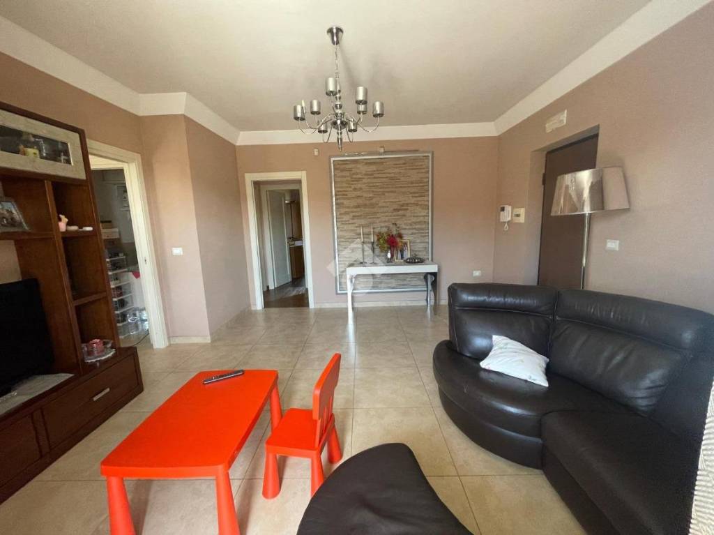 immagine annuncio 12 di 13