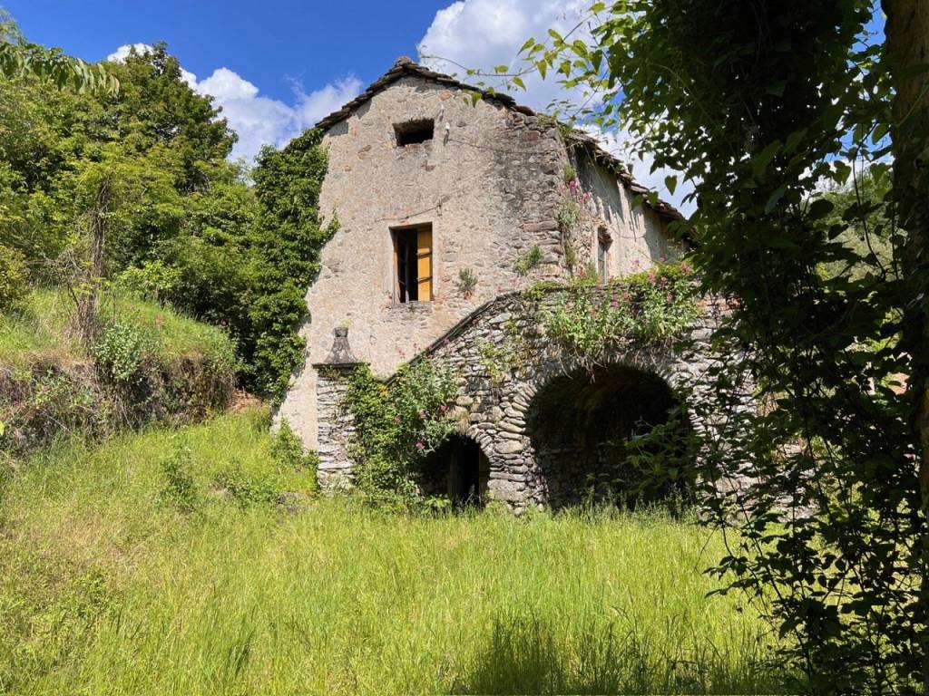 immagine annuncio 2 di 14