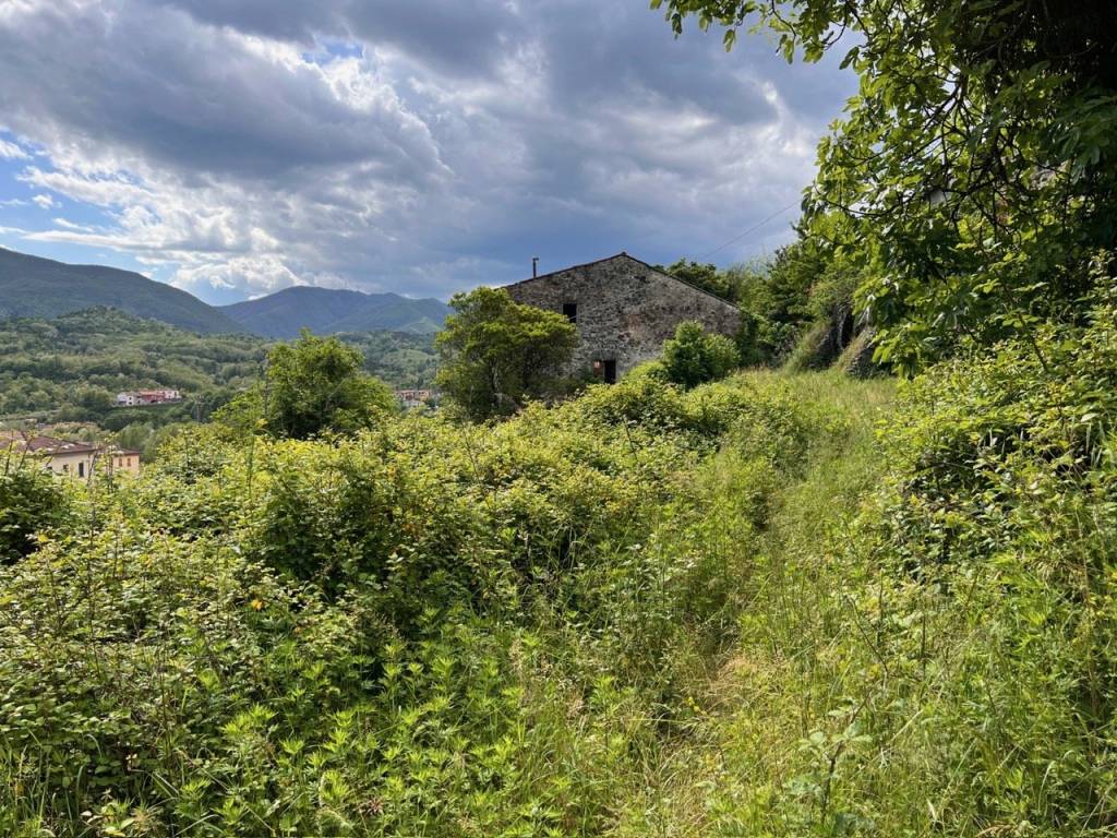 immagine annuncio 5 di 14