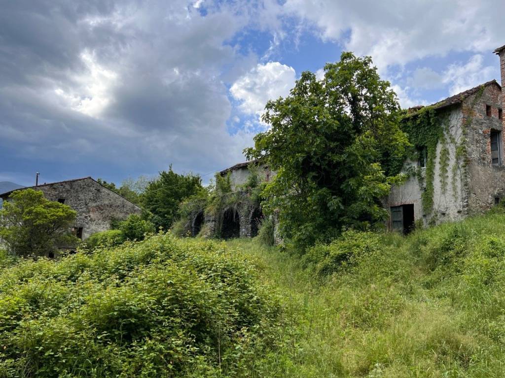 immagine annuncio 6 di 14