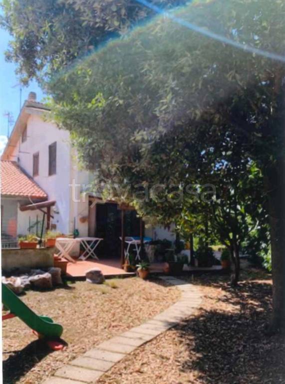 immagine annuncio 4 di 11