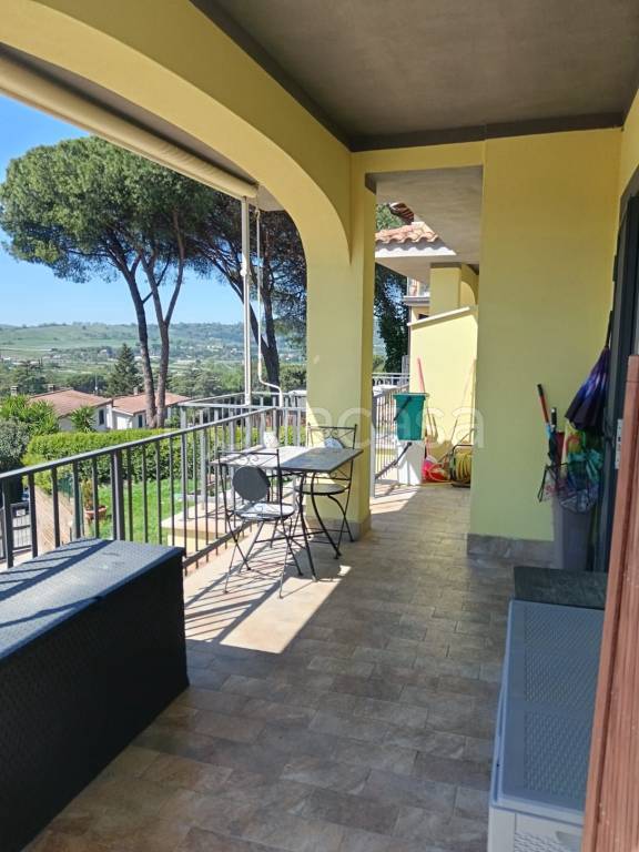 immagine annuncio 11 di 15