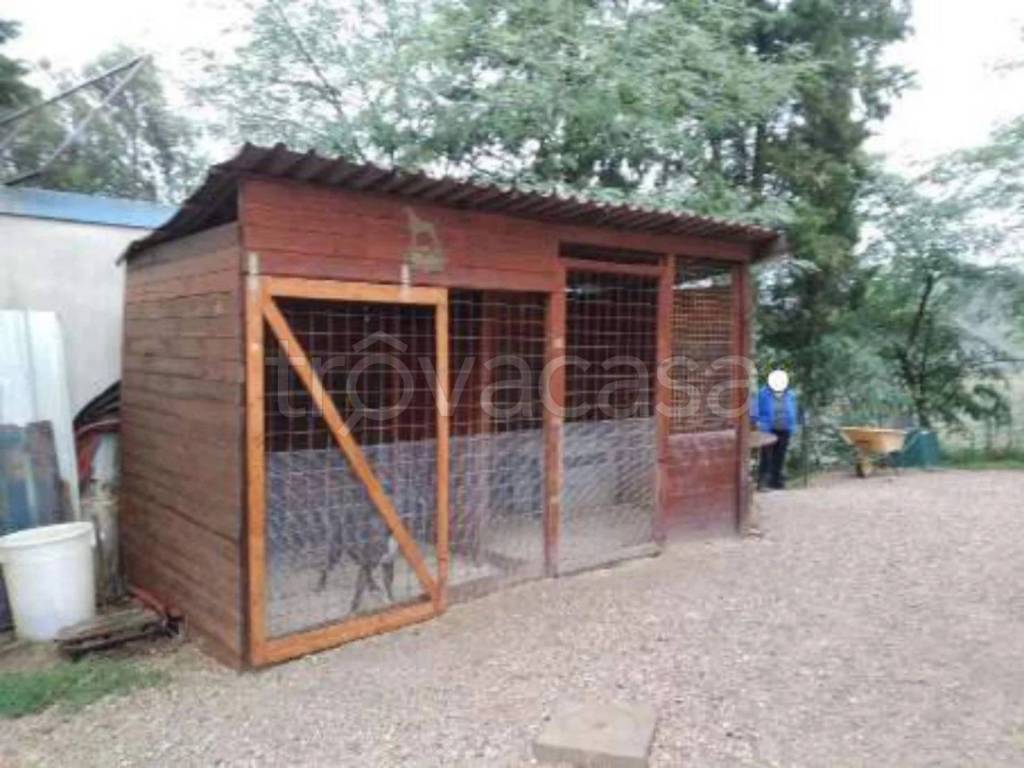 immagine annuncio 7 di 15