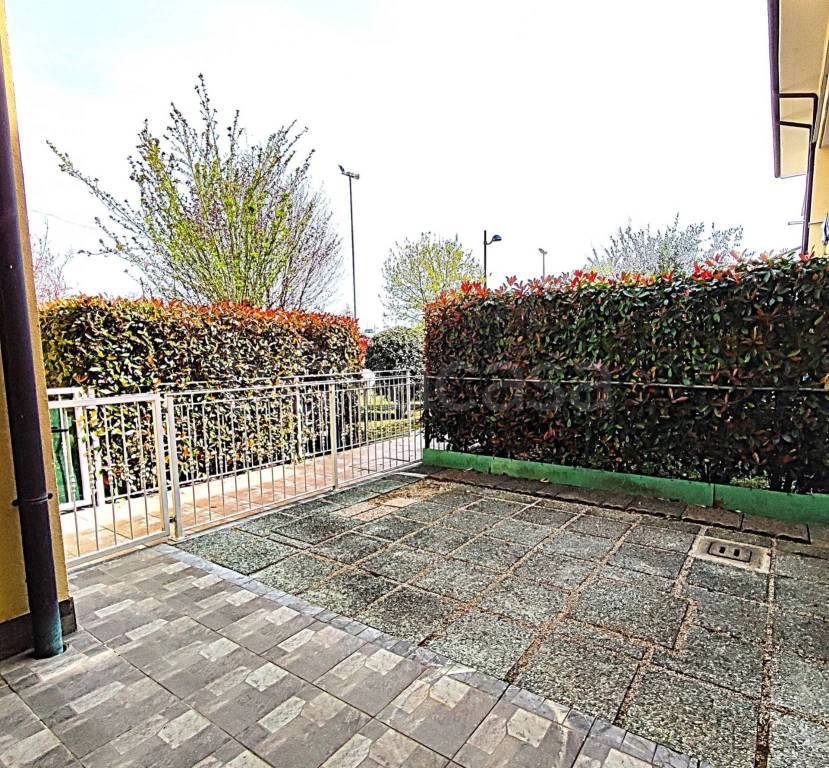 immagine annuncio 11 di 14