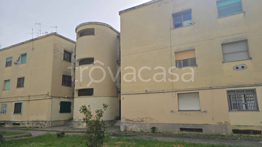 immagine annuncio 1 di 12