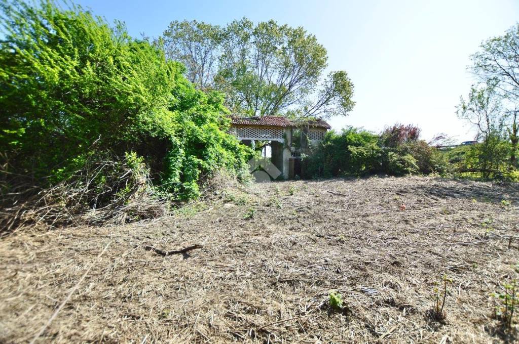 immagine annuncio 4 di 10