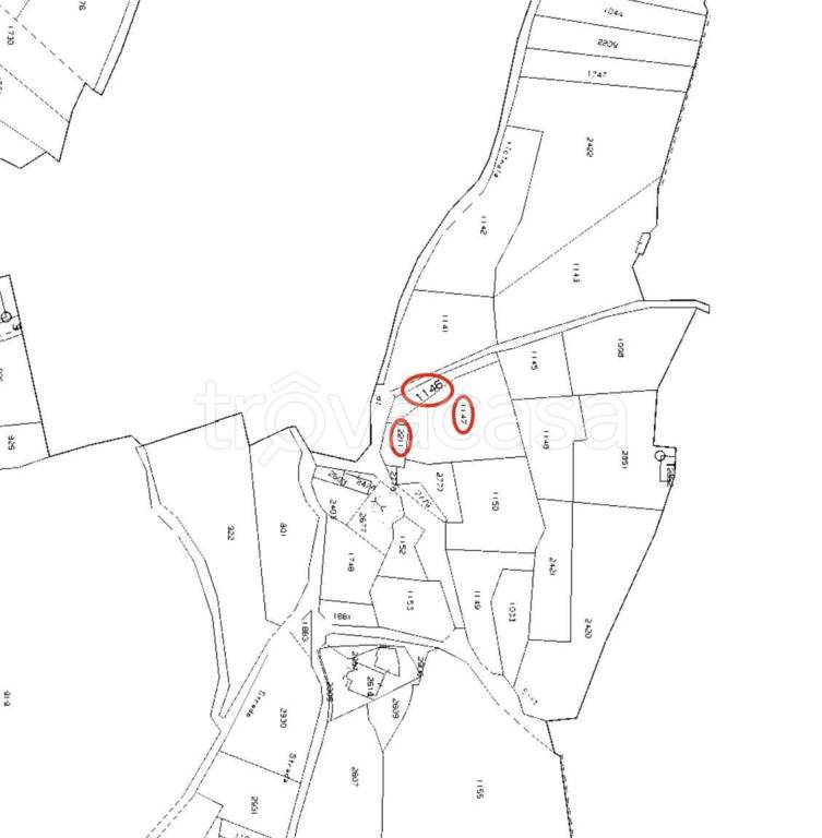 immagine annuncio 12 di 13