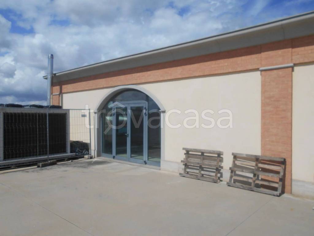 immagine annuncio 3 di 8