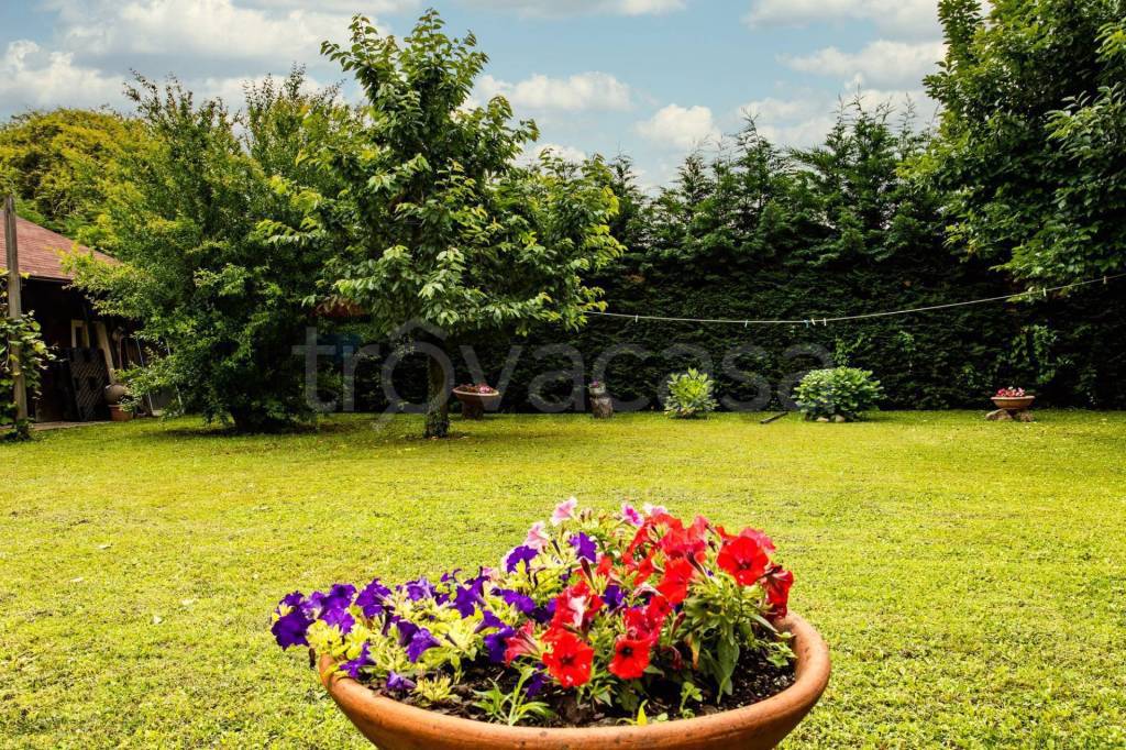 immagine annuncio 5 di 15