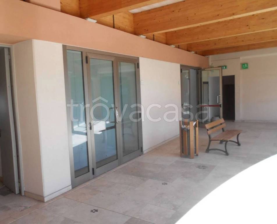 immagine annuncio 2 di 8