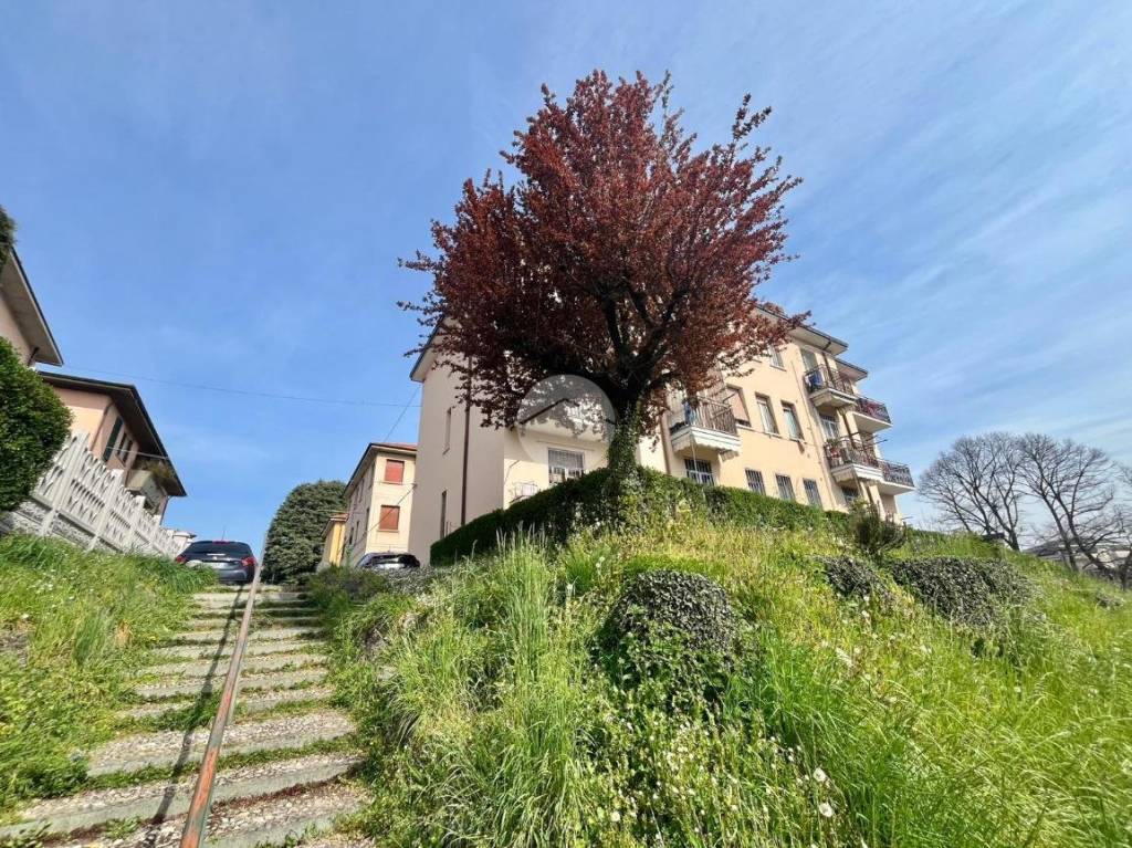 immagine annuncio 1 di 7