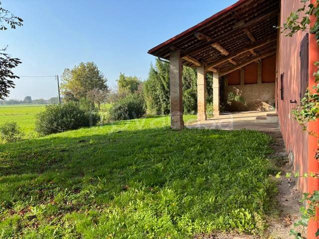 immagine annuncio 3 di 12