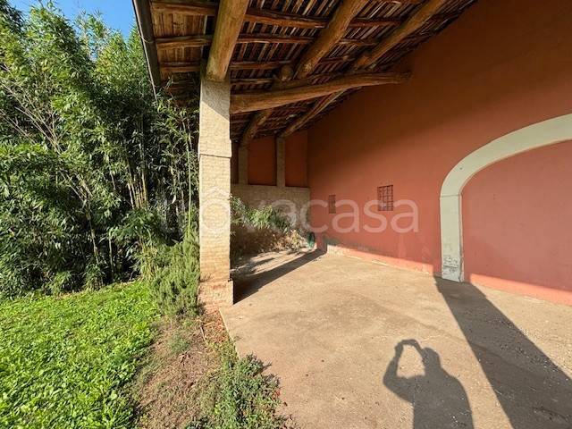 immagine annuncio 9 di 12