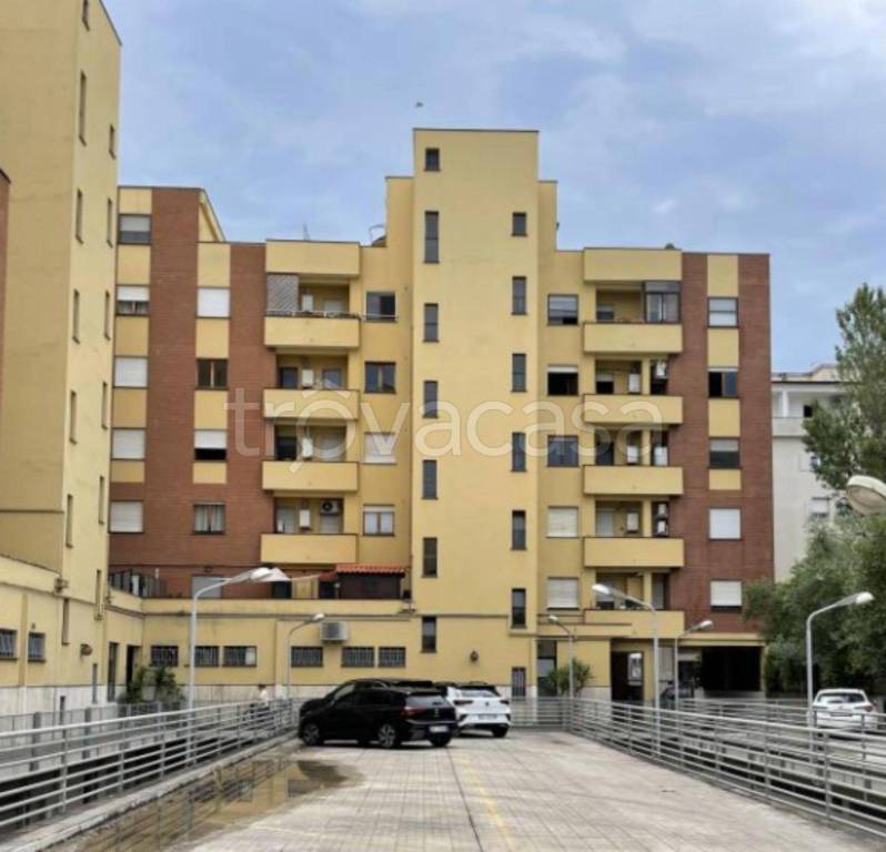 immagine annuncio 8 di 11