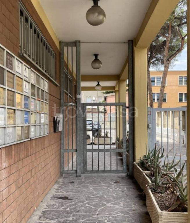 immagine annuncio 9 di 11