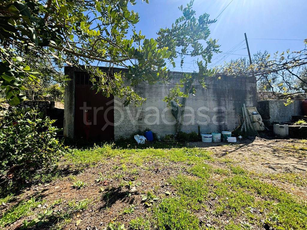 immagine annuncio 6 di 12