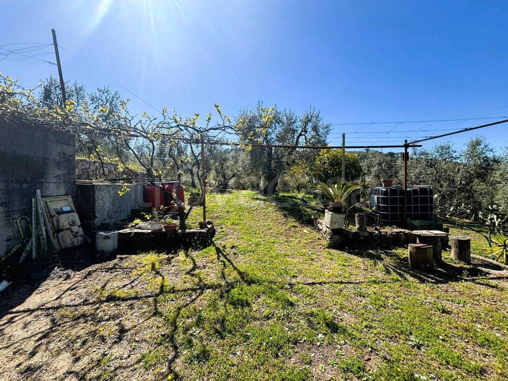 immagine annuncio 9 di 12