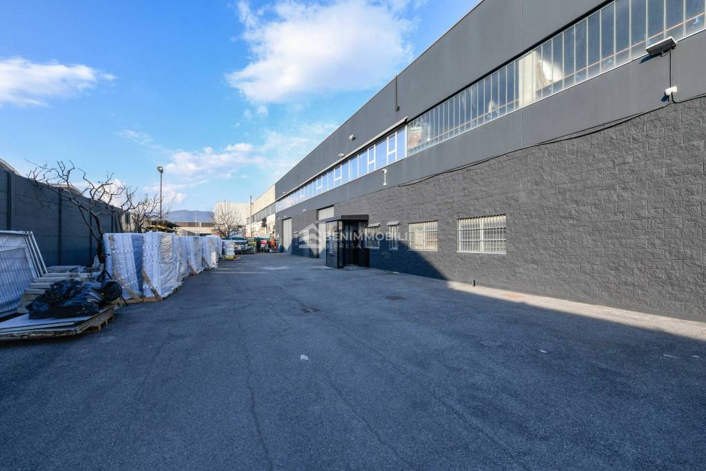 immagine annuncio 9 di 15