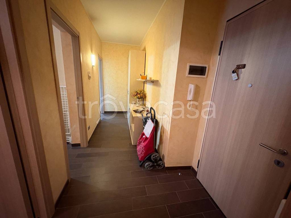 immagine annuncio 3 di 14