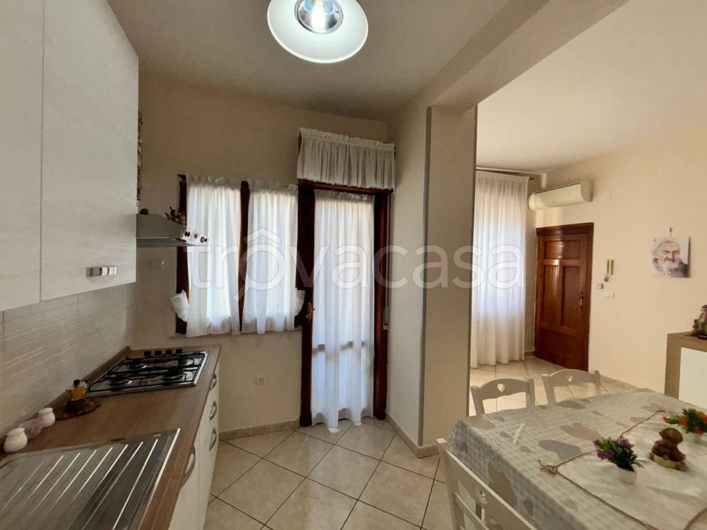 immagine annuncio 3 di 11