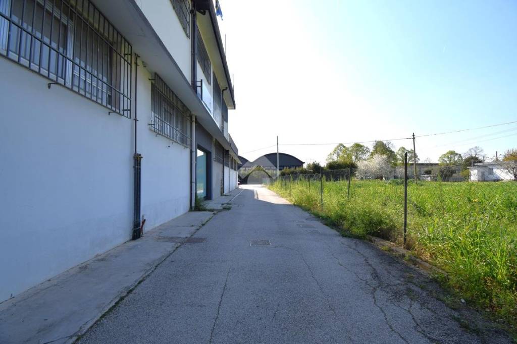 immagine annuncio 10 di 12