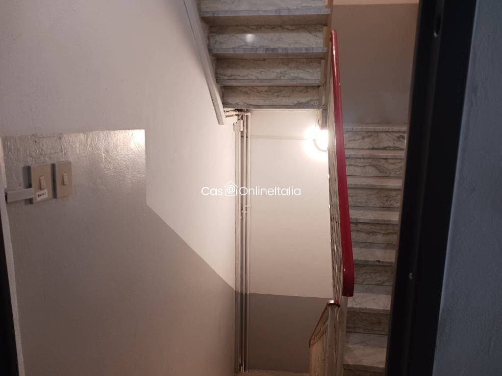 immagine annuncio 10 di 14