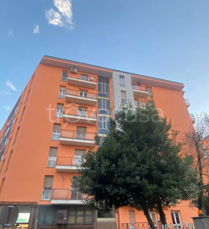 immagine annuncio 11 di 13