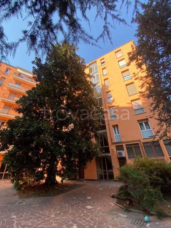 immagine annuncio 9 di 13