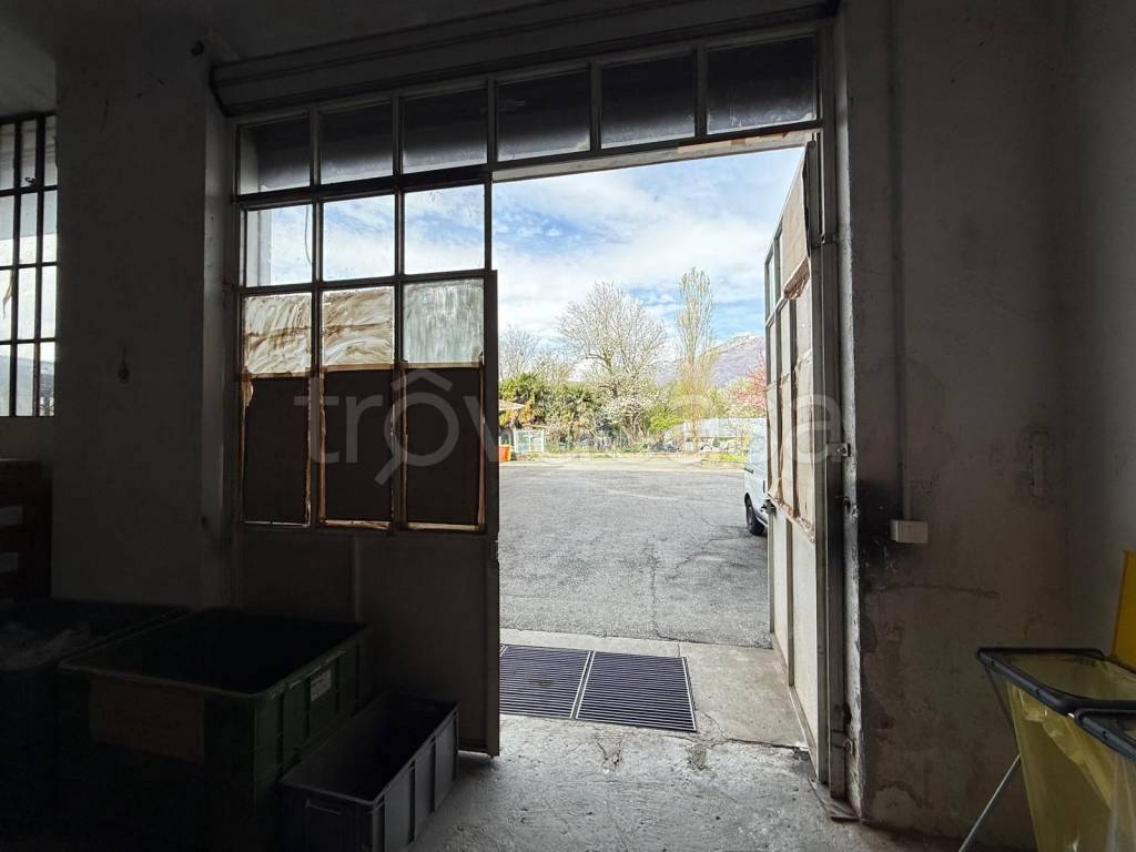 immagine annuncio 2 di 6