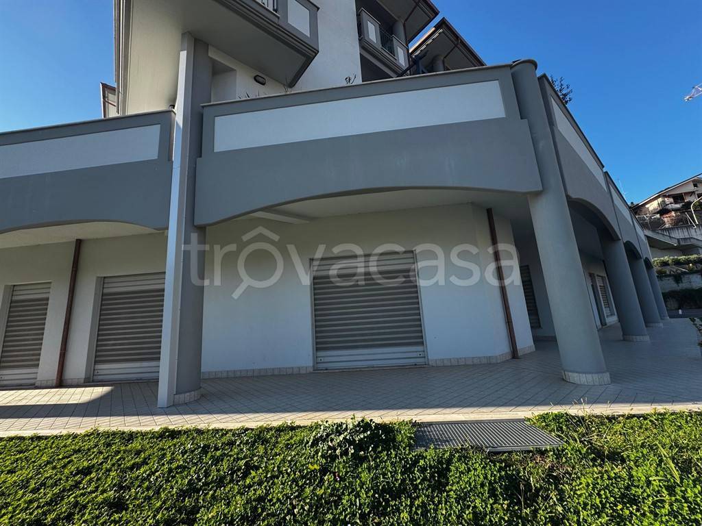 immagine annuncio 5 di 6