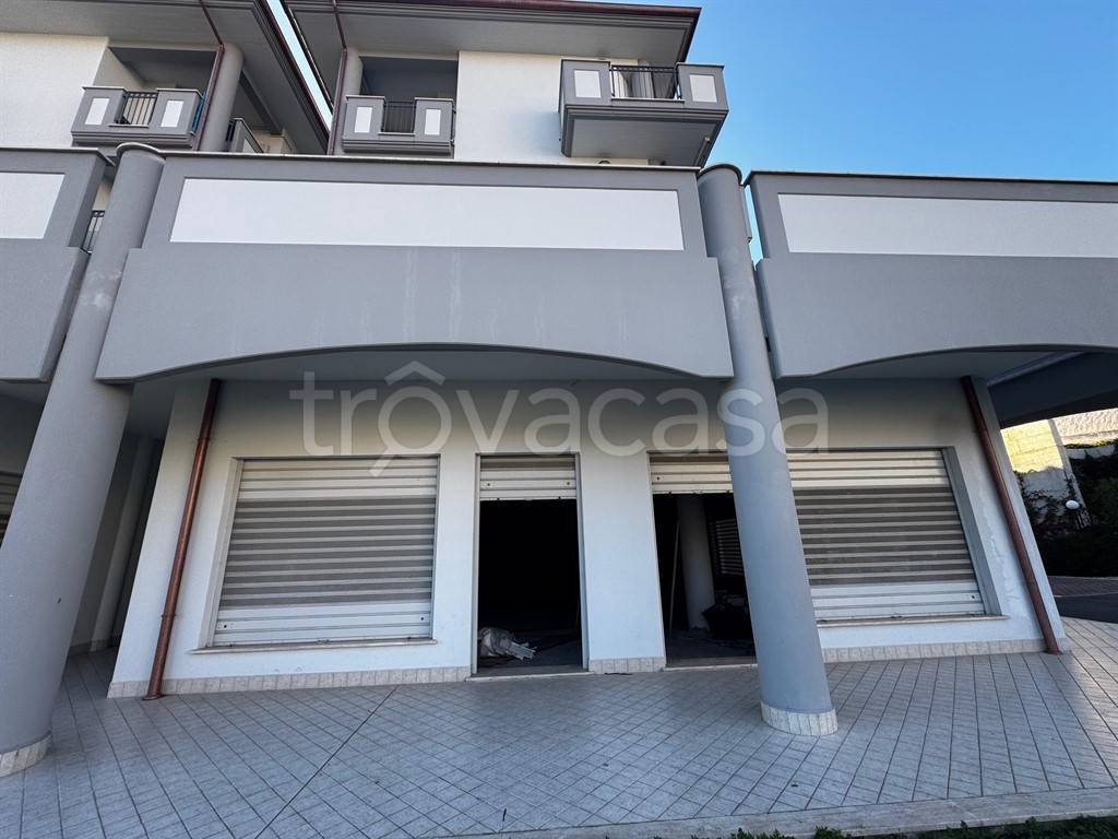 immagine annuncio 2 di 6