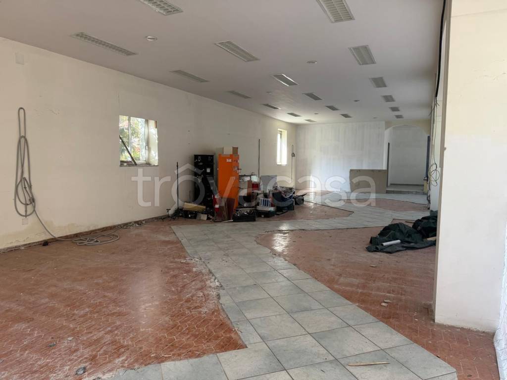 immagine annuncio 5 di 12