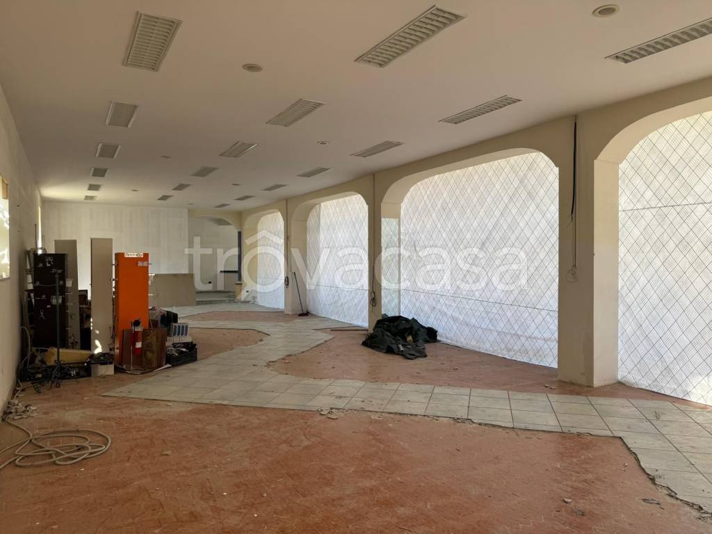 immagine annuncio 6 di 12