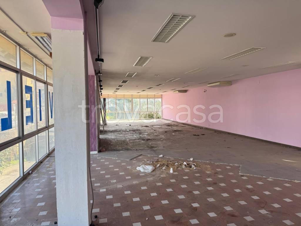 immagine annuncio 8 di 12