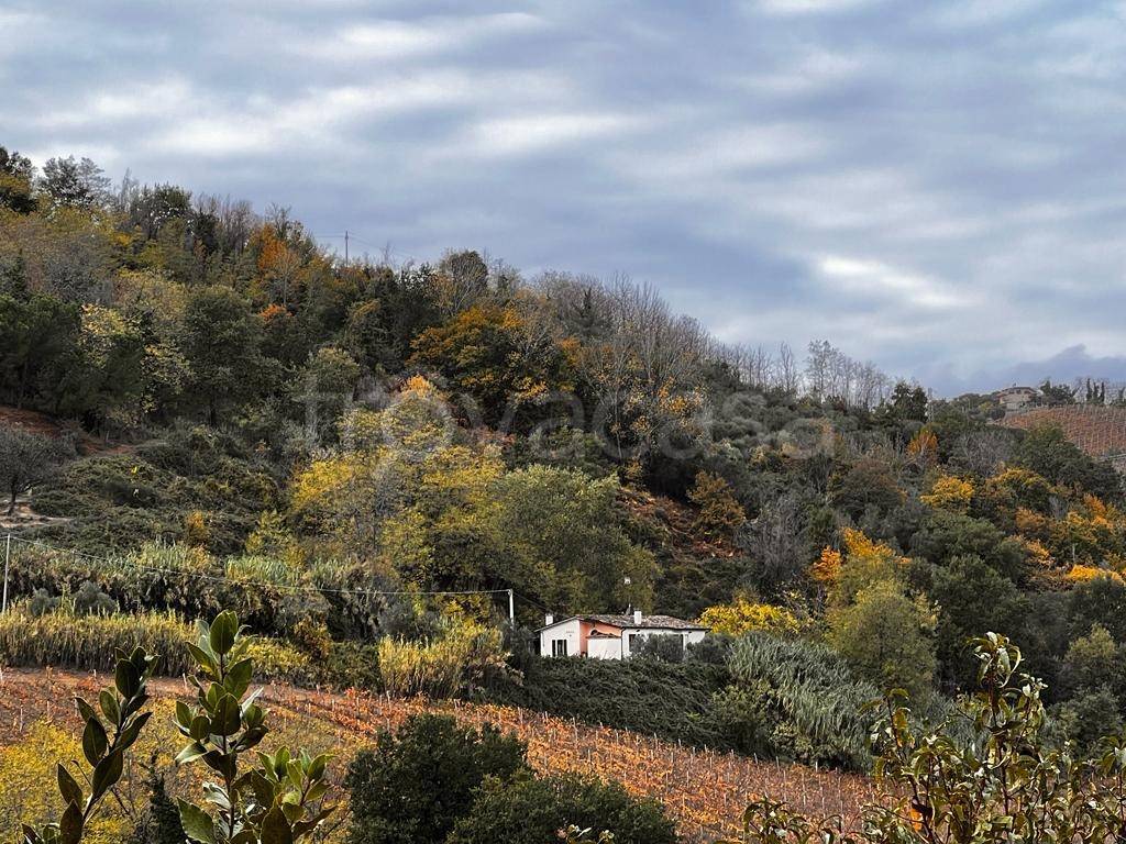 immagine annuncio 8 di 9