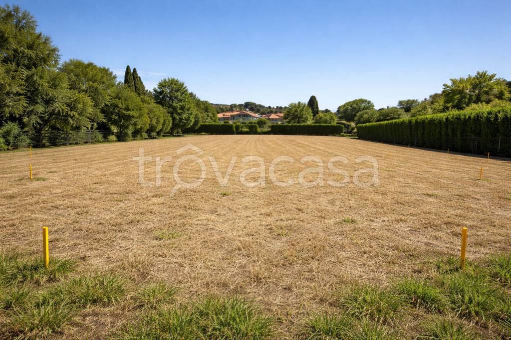 immagine annuncio 2 di 3