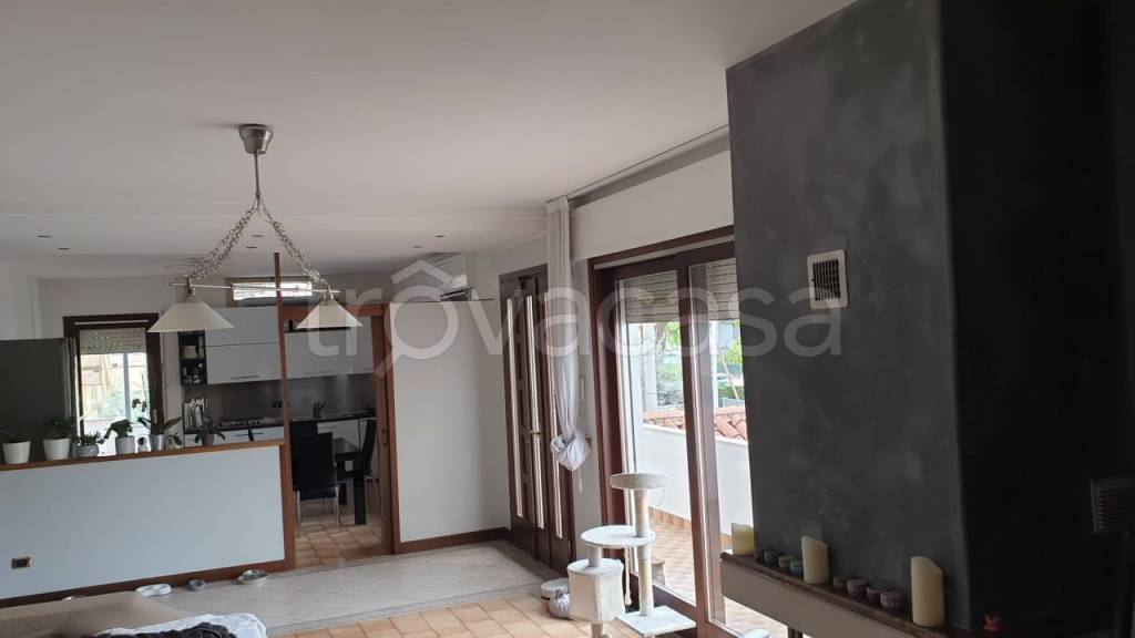 immagine annuncio 3 di 7