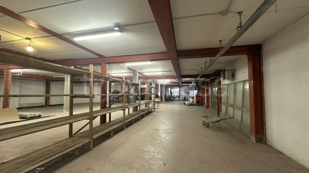 immagine annuncio 1 di 14