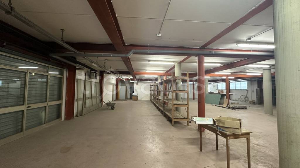 immagine annuncio 5 di 14