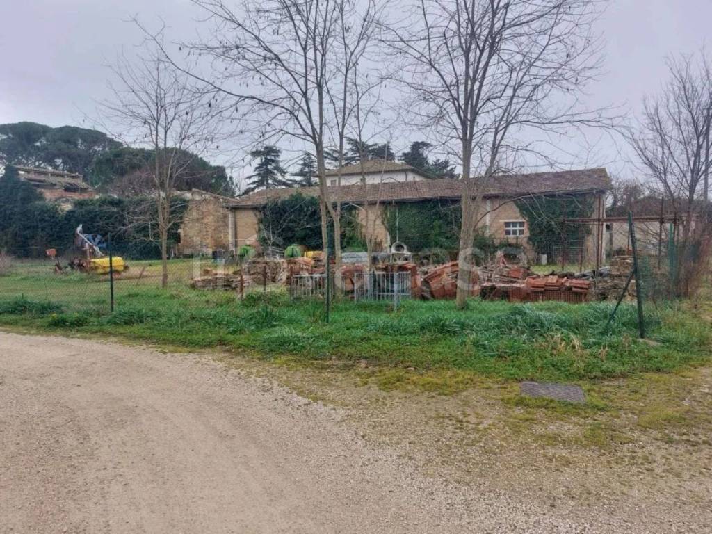 immagine annuncio 2 di 8