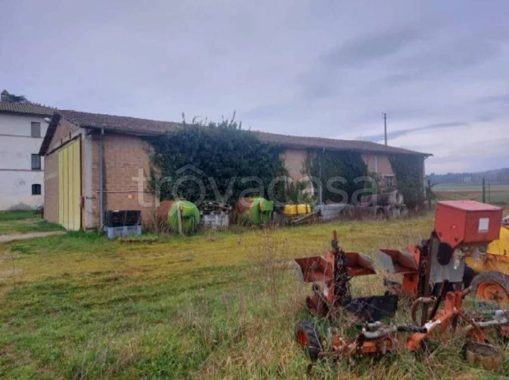 immagine annuncio 3 di 8