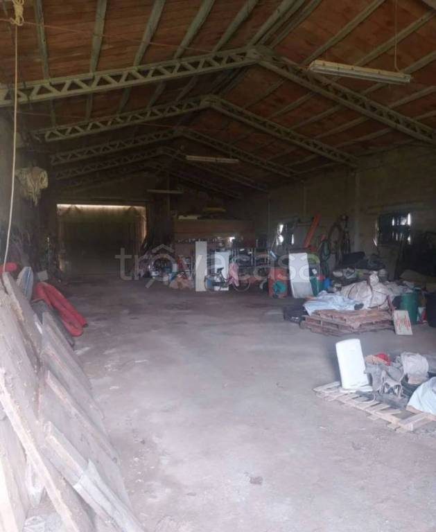 immagine annuncio 4 di 8