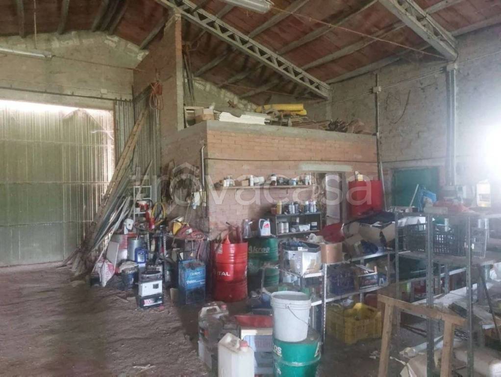 immagine annuncio 5 di 8