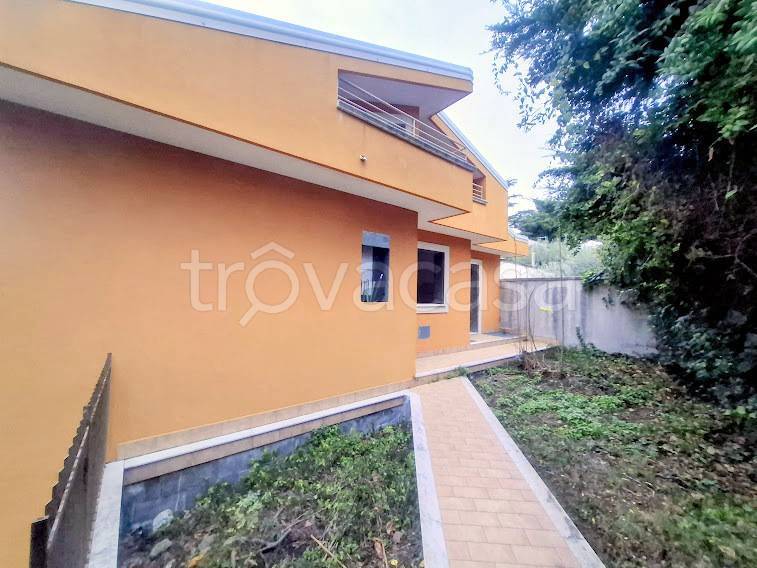 immagine annuncio 6 di 14