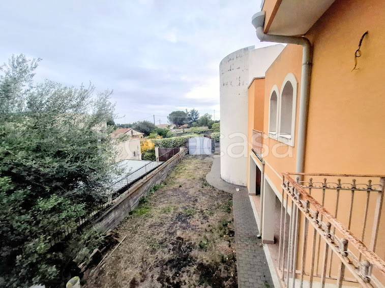 immagine annuncio 9 di 14