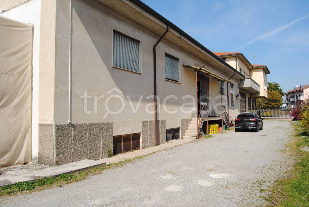 immagine annuncio 5 di 15