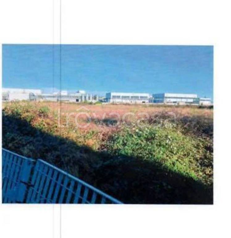immagine annuncio 3 di 10