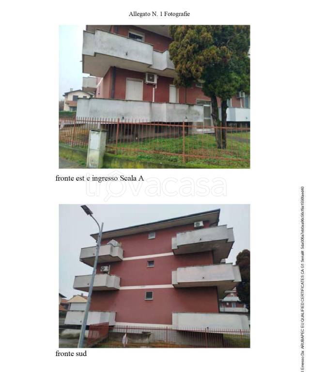 immagine annuncio 1 di 15