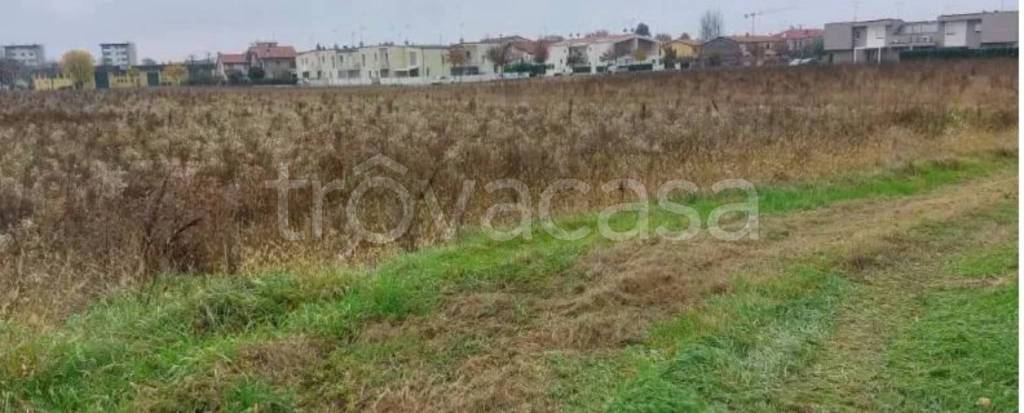 immagine annuncio 7 di 9