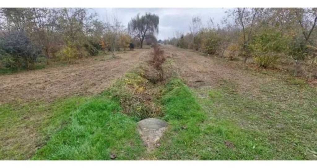 immagine annuncio 8 di 9